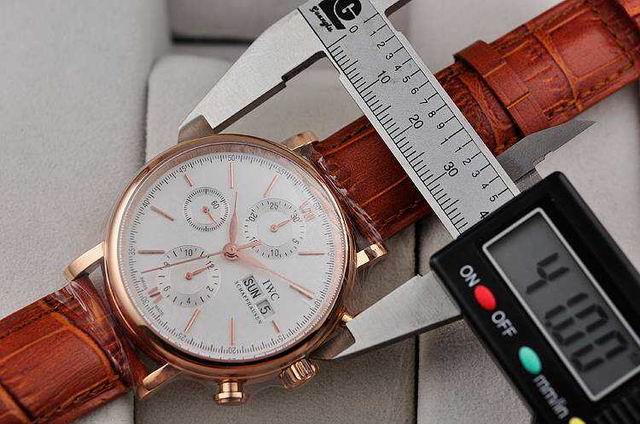 IWC watch man-295